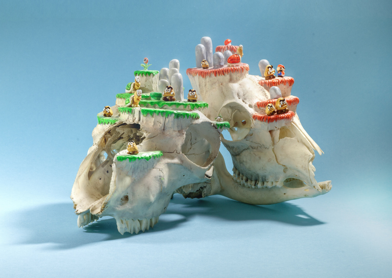 Illustration for article titled Mario Levels Made Out Of Real Animal Skulls. Creepy.
